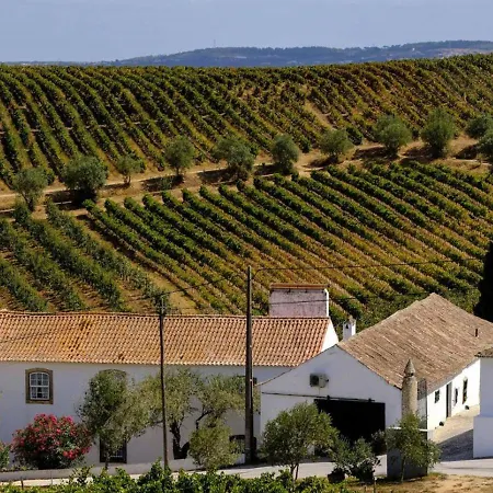 Sois Montejunto Eco 알렌쿠어