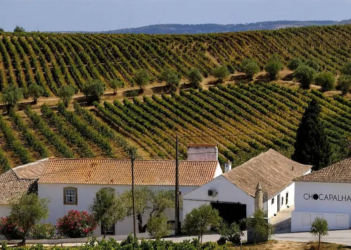 Sois Montejunto Eco Alenquer